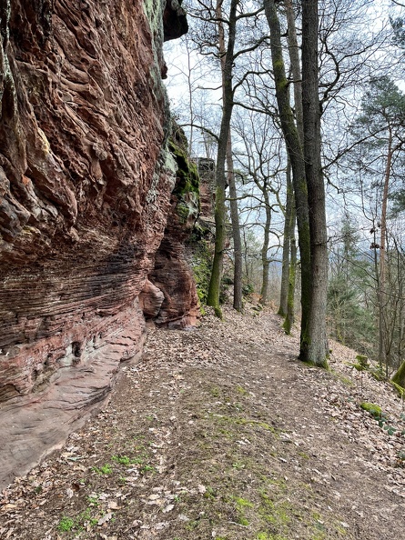 24-03-01 13-18-26 8872.jpeg